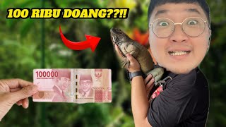 100 RIBUAN DAPAT REPTIL KAYAK GINI??!!