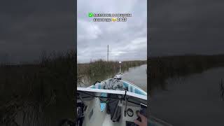 Осінній жор щук,🐠 шукаю хижака в хащах очерету, риболовля на спінінг джиг🎣 з човна в Україні 2025.