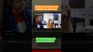 My Dogs Precious Reaction On Video Call.