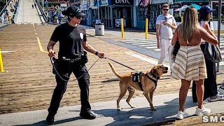 Santa Monica's Finest: Officer Hassan and K9 Jack Ace Explosive Detection Certification on Pier