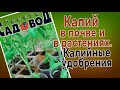 КАЛИЙ В ПОЧВЕ И В РАСТЕНИЯХ. Калийные удобрения