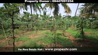 Georgekutty John.Alappuzha