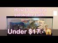 How to Set Up A Saltwater Tank for under $200!