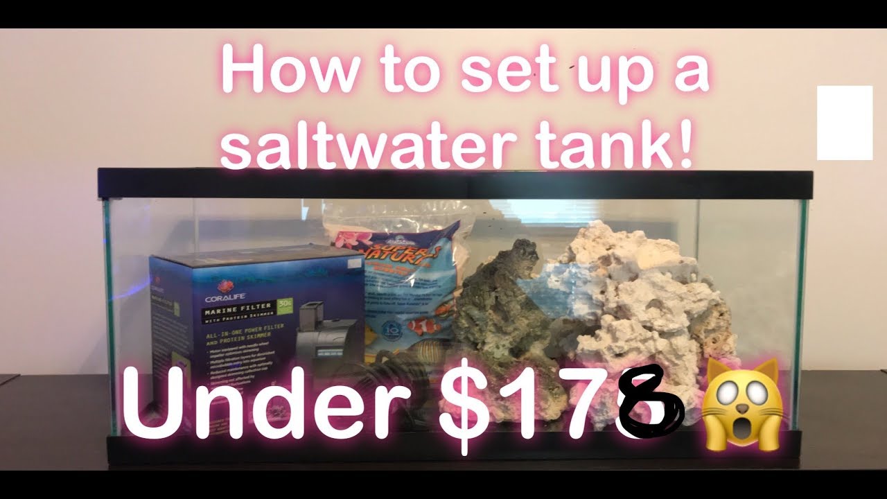 How to Set Up A Saltwater Tank for under $200! - YouTube