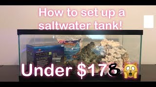 How to Set Up A Saltwater Tank for under $200!