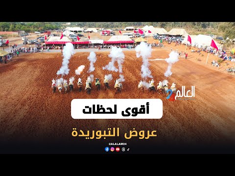 أقوى مشاهد عروض التبوريدة في مهرجان سيدي الطيبي