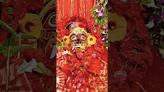 জয় মা বিকট কালী 🙏 joy ma kali 🛕 #youtubeshorts #viral #shorts #kali #shortvideo #viralvideo