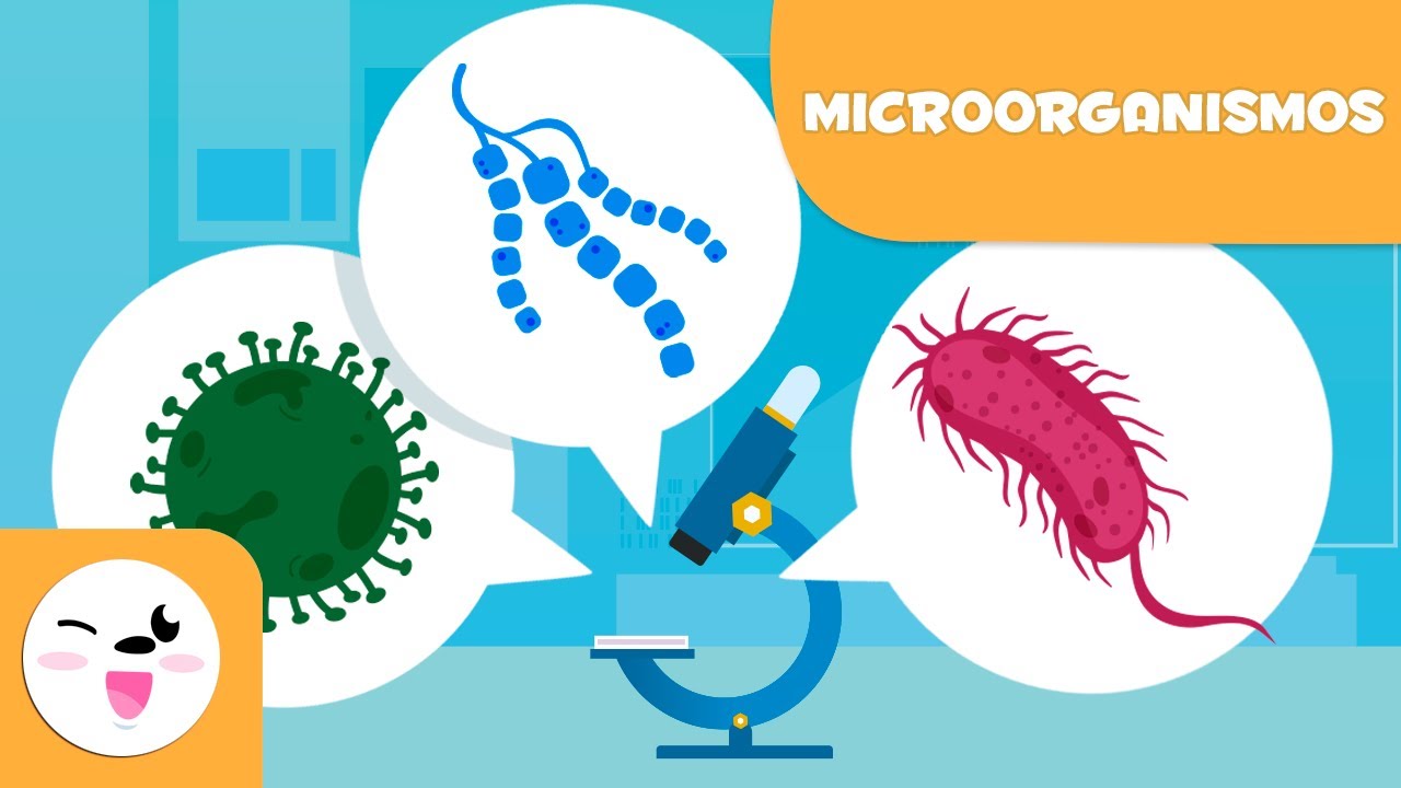 Qué son los Microorganismos? - Las bacterias, los virus y los hongos para  niños - thptnganamst.edu.vn
