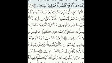 سورة البقرة 25-29 (٥)    Sheikh Anas AlHibri