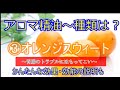 アロマ精油【簡単に効能・効果説明】③オレンジスウィート