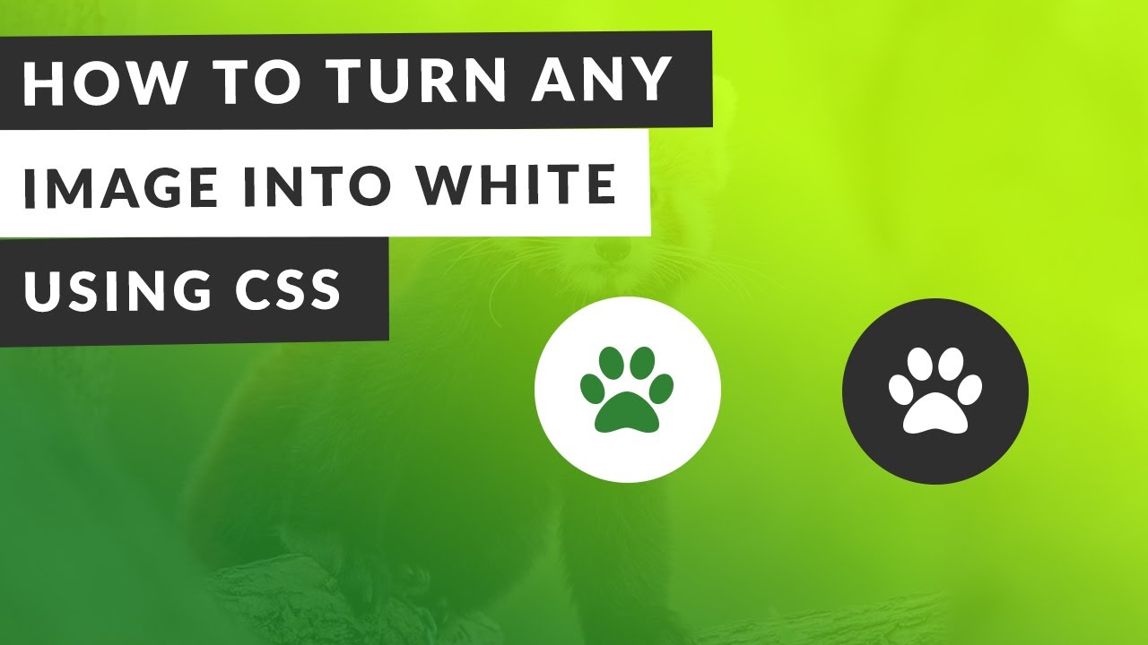 สี css  New  How to Change Image Color into White using CSS (EASY)