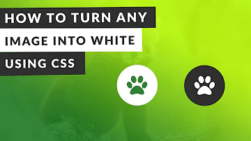 How do I change the color of an image in CSS?