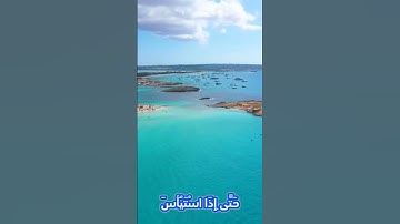 سورة يوسف و؛؛كا،،نك تسمعها لأ..و،،ل مر.ة💜💘؛🌸،؛🏵️💟،. 💓، 🌹بصوت الشيخ حمزة مد،بو.ح❤️..💚🌼..💙💮🥀؛؛ 💛