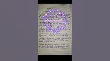 Livelihood Pattern On The State l Notes Class 8