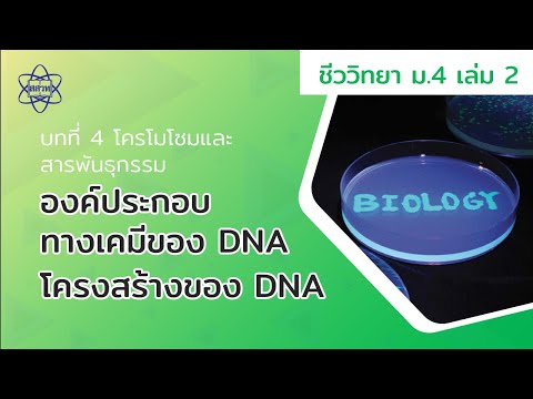 วีดีโอ: ดีเอ็นเอมีลักษณะอย่างไรที่สัมพันธ์กับโครงสร้างทางเคมีของมันกับลักษณะที่ปรากฏเมื่อมีจำนวนมากรวมกันเป็นก้อน?