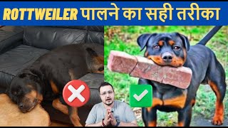 How to Raise The Perfect Rottweiler | Things You Should Know Before Getting A Rottweiler