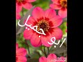 أنزف ياجرح القلب أنزف ياجرح القلب