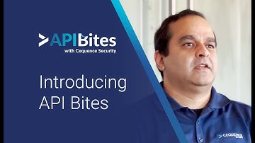 API Bites, Episode 1 | The Cequence Approach to API Protection