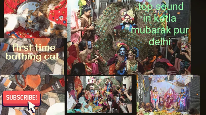 Watch the video about First.time cat bathing🐱🐱....sound information⬇️ in description