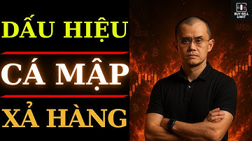 BÍ QUYẾT TRADING: CÁ MẬP XẢ HÀNG: BÍ MẬT RÚT TIỀN KHỎI THỊ TRƯỜNG KHÔNG ĐỂ AI BIẾT