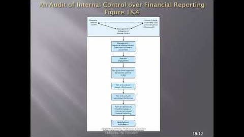 Chapter 18   Integrated Audits of Public Companies