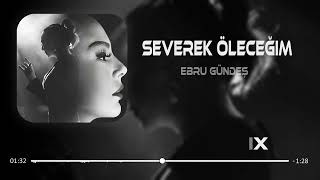 Ebru Gündeş - Severek Öleceğim ( Furkan Demir & Murat Karaytu Remix ) Resimi