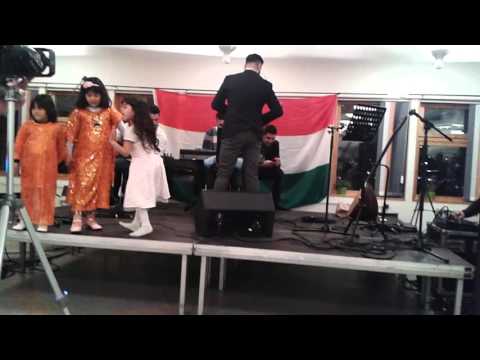 Newroz kalmar 2016