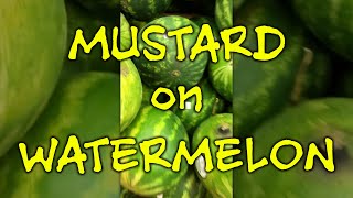 PRRP: The TikTok Episode