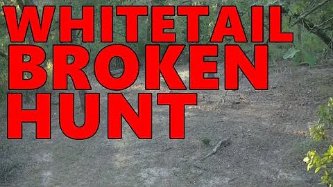 WHITETAIL ARCHERY-  james' broken hunt