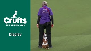 Super Staffies Take Over Crufts | Crufts 2022