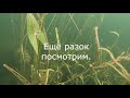 ПОДВОДНАЯ ОХОТА/ПОДВОДНАЯ КРАСОТА ИСКУССТВЕННОГО ВОДОЁМА.23.08.2020