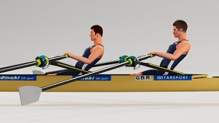 Rowing Double Sculls Animated HQ (Turbosquid)