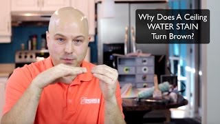 Why does a Ceiling Water Stain turn brown? Published January 20th 2...