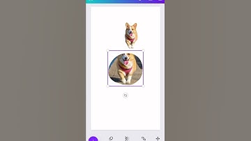 Canva Design Trick to Make Your Photos POP #canvahack