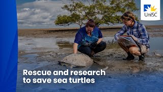 Bridging the gap between rescue and research to save our sea turtles