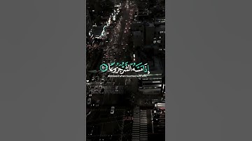 انا الانسان خلق هلوعا.....تلاوة خاشعة