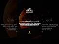 Surah Al Kahf Ayah 44-45 | The Reality of This Life | English Translation | Qiraat Soul #quran