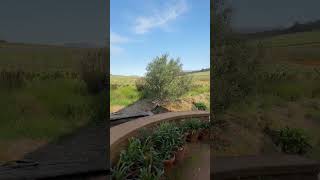 Babylonstoren just a stone throw away from Cape Town #Babylonstoren #CapeWinelands  #CapeTown