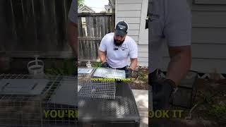 How To Set Up A Smart 1-Door Live Animal Trap for Raccoons, Squirrels, and more Rodents
