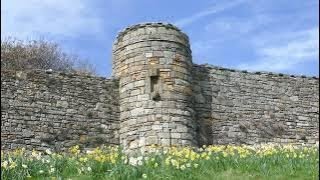 Easter Holiday Weeked Daffodils On History Visit To City Walls St Andrews Fife Scotland