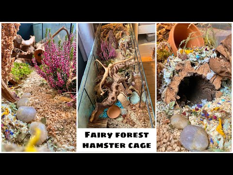 rainforest hamster cage