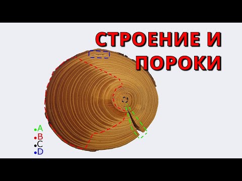 Древесина - строение и пороки 🌳😈 ➄