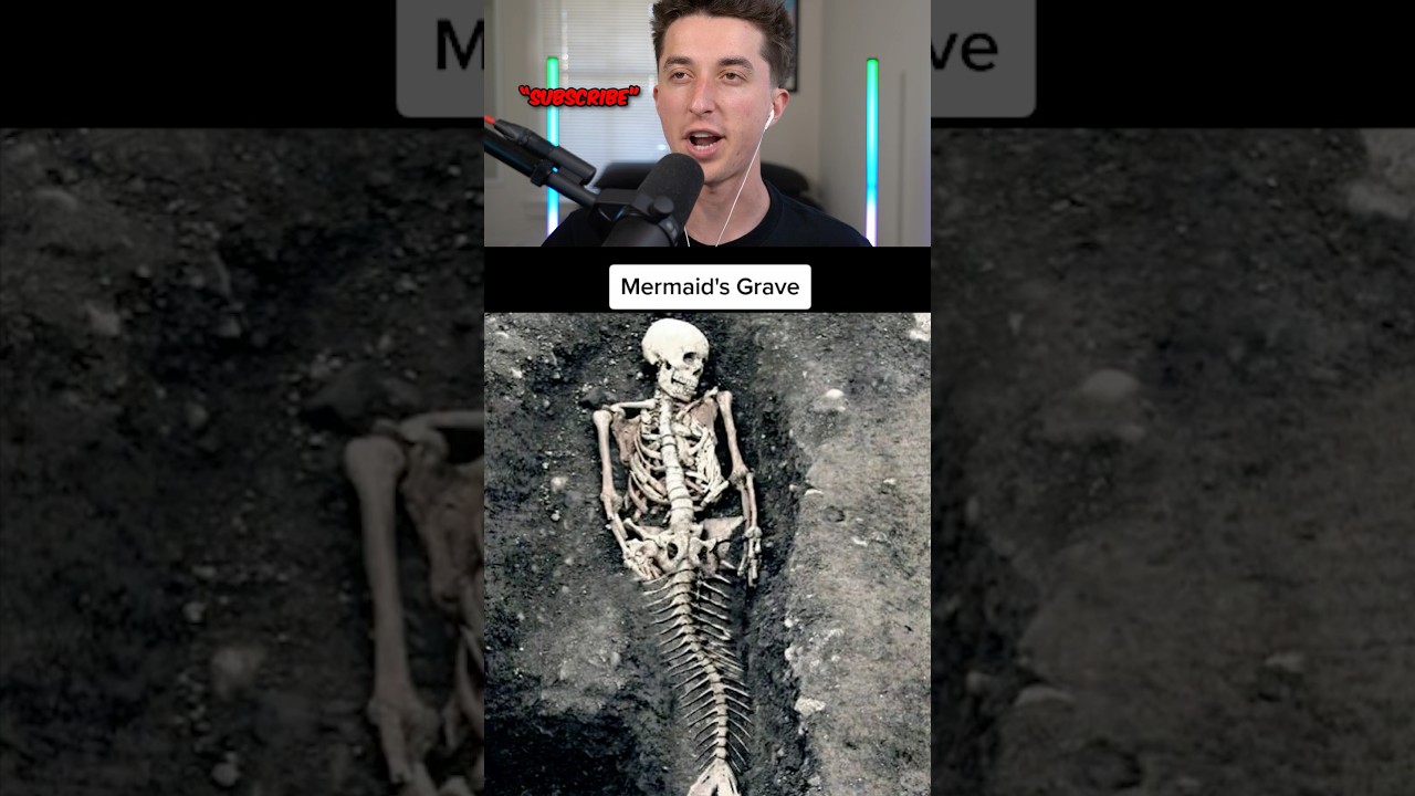 proof mermaids real 🤯😱