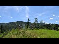 Euram Bank Open Adamstal - Timon Baltl Round 2 Tee Shot 15