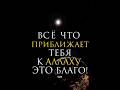 Напоминание - Всё что приближает тебя к Аллаху это благо!