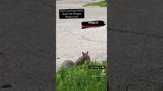 The Borgen Project fights for the underdog, reduces global poverty & advocates for political change.