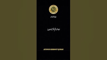 سورة الأنفال الآية 19-23 تلاوة شيخ الشريم