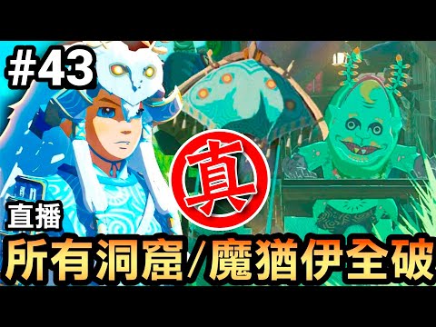 【薩爾達傳說 王國之淚直播】43-真！所有洞窟/魔猶伊全破 | 直播🔴