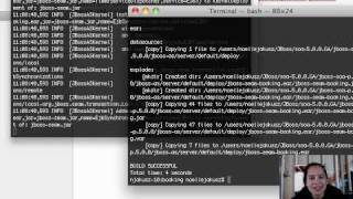 JBoss SOA-P Quickstart Examples Demo