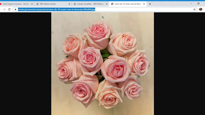Visual Recognition usando IBM Watson Studio